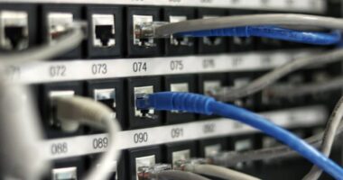 Boîtier Fibre et CPL Wifi : Le Guide Complet pour Étendre Votre Connexion Très Haut Débit