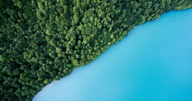 Green IT : Comment Réduire l&rsquo;Empreinte Environnementale de Votre Infrastructure Réseau